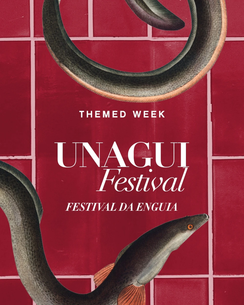 Semana Tem&aacute;tica Festival da Enguia | JNcQUOI Asia