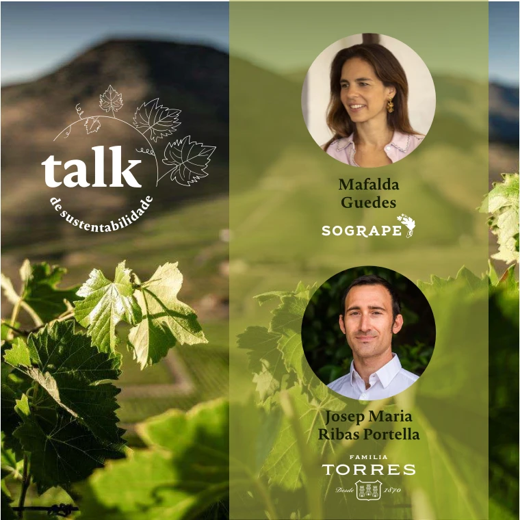 Sustentabilidade no Mundo dos Vinhos: Sogrape e Fam&iacute;lia Torres na vanguarda da mudan&ccedil;a 