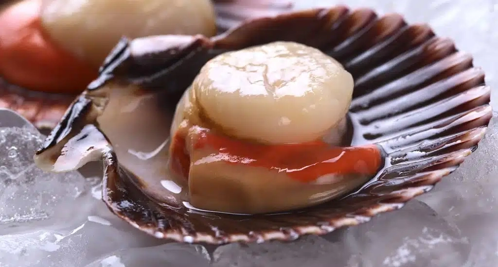 Almo&ccedil;o Tem&aacute;tico - Coquilles Saint Jacques