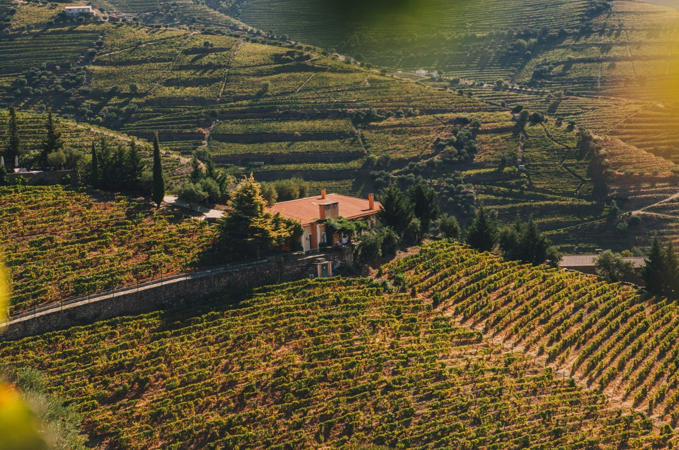 Prova Vertical - Quinta Vale D. Maria Vinha da Francisca